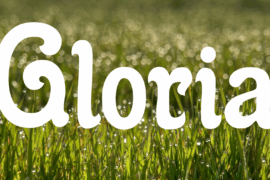Gloria Font