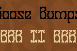 Goose Bumps Font Family