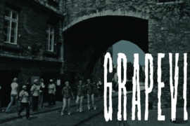 Grapevine Font