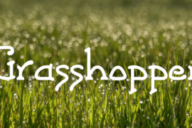 Grasshopper Font