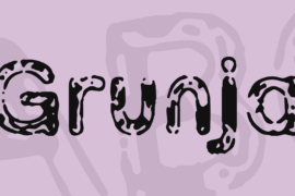 Grunja Font