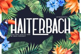 Haiterbach Demo Font Family