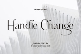 Handle Change Demo Font