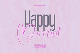 Happy Married Demo Font Family