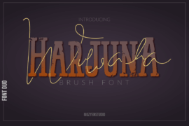 HarjunA Brush Font