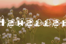 Hawaiiah Font