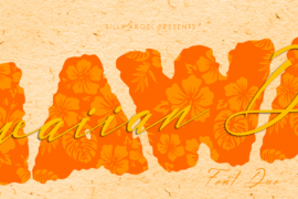HAWAIIAN DREAMS PERSONAL USE Font