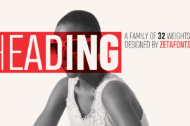 Heading Smallcase Pro Trial Font Family