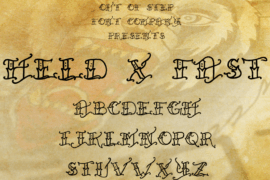 Held x Fast Font