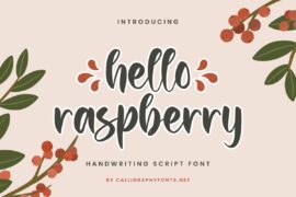 Hello Raspberry Demo Font