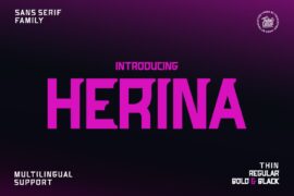 HERINA Font Family