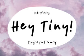 Hey Tiny DEMO Font Family