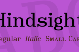 Hindsight Font Family