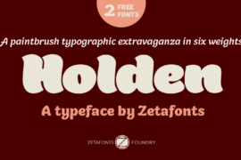 Holden Trial Font Family