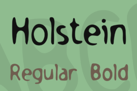 Holstein Font Family
