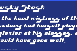 Husky Stash Font