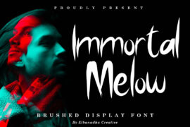 IMMORTAL MELLOW DEMO Font