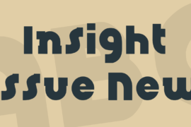 Insight Issue New Font