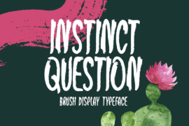 Instinct Question Font