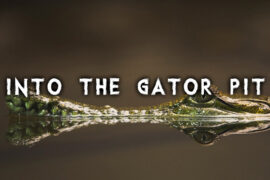 Into the Gator Pit Font