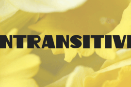 Intransitive Font Family