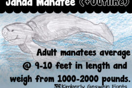 Janda Manatee Font Family