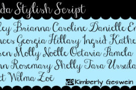 Janda Stylish Script Font