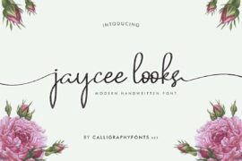 Jaycee Looks Demo Font