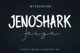 Jenoshark Feiya Demo Font Family