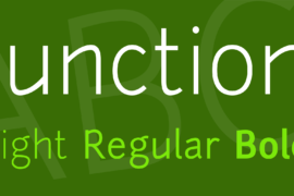 Junction Font Family