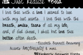 Just Realize Font Family