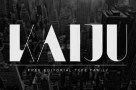 Kaiju Font Family