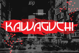 Kawaguchi Demo Font Family