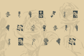 KR Beautiful Flowers Font