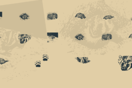 KR Crystal’s Badgers Font