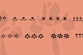 KR Fleur Flair Lines Font