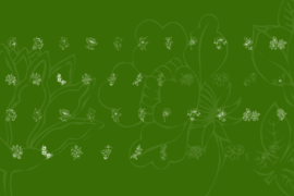 KR Floral Color Me 2 Font