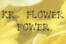 KR Flower Power Font
