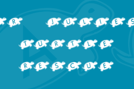 KR Julies Turtle Rescue Font