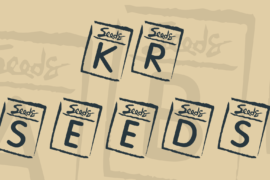 KR Seeds Font