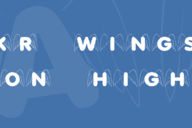 KR Wings On High Font