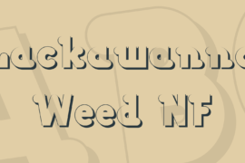 Lackawanna Weed NF Font