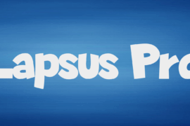 Lapsus Pro Font