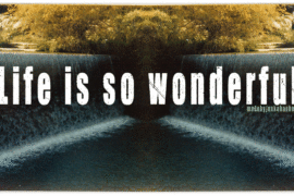 Life is so wonderful Font