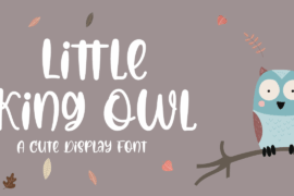 Little King Owl Font