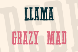 Llama Font Family