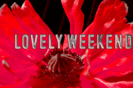Lovely Weekend Font