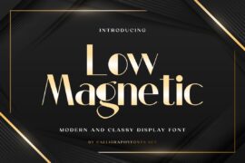Low Magnetic Demo Font Family