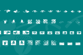 Ludlow Dingbats Font