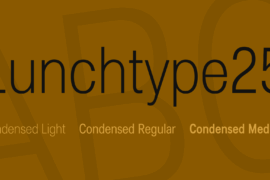 Lunchtype25 Font Family